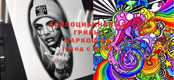 ГАЛЛЮЦИНОГЕННЫЕ ГРИБЫ Переславль-Залесский