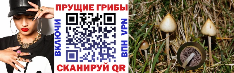 Псилоцибиновые грибы мухоморы  наркотики  Серов 
