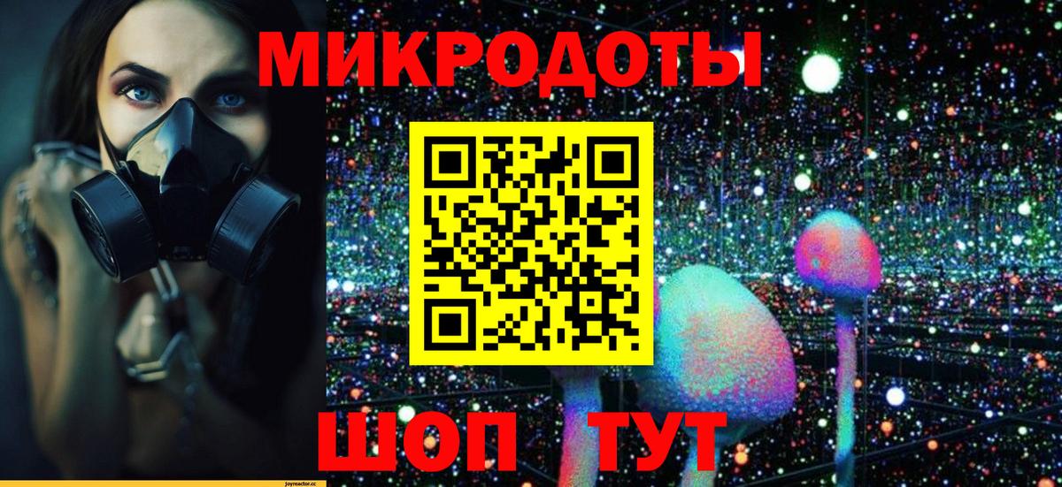 Псилоцибиновые грибы Psilocybine cubensis Серов